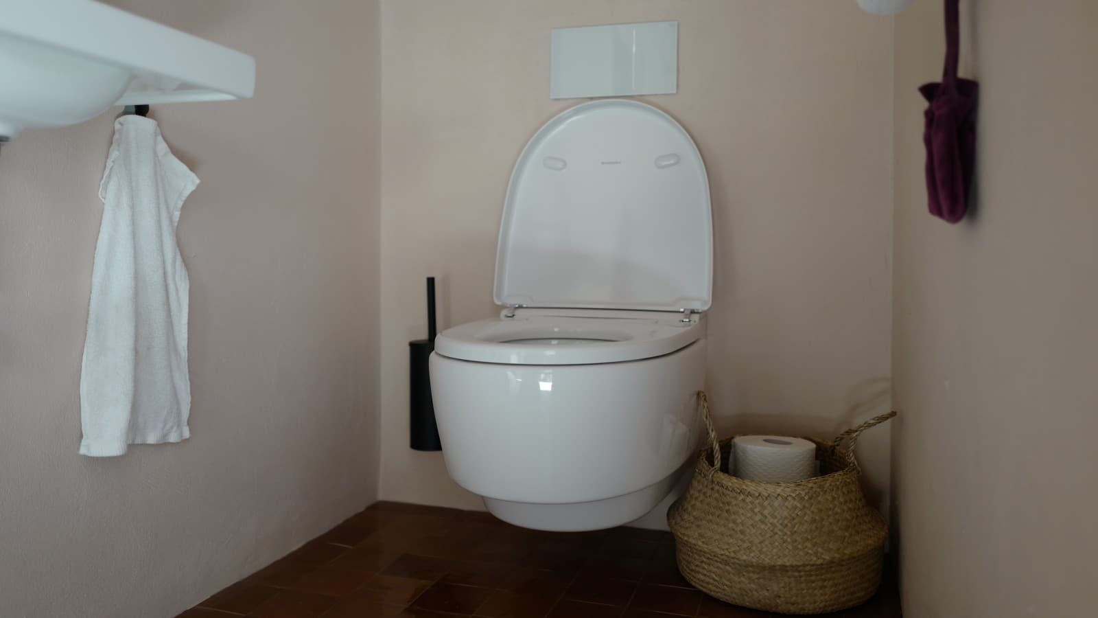 Haus am Hof / Geberit AquaClean Dusch-WC Haus am Hof / Geberit AquaClean Dusch-WC