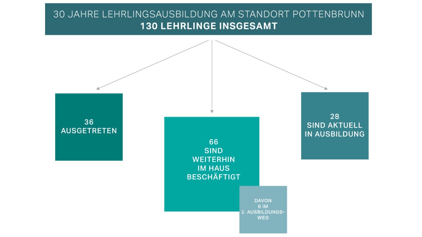 Erfolgreiche Lehrlingsausbildung seit über 30 Jahren Erfolgreiche Lehrlingsausbildung seit über 30 Jahren