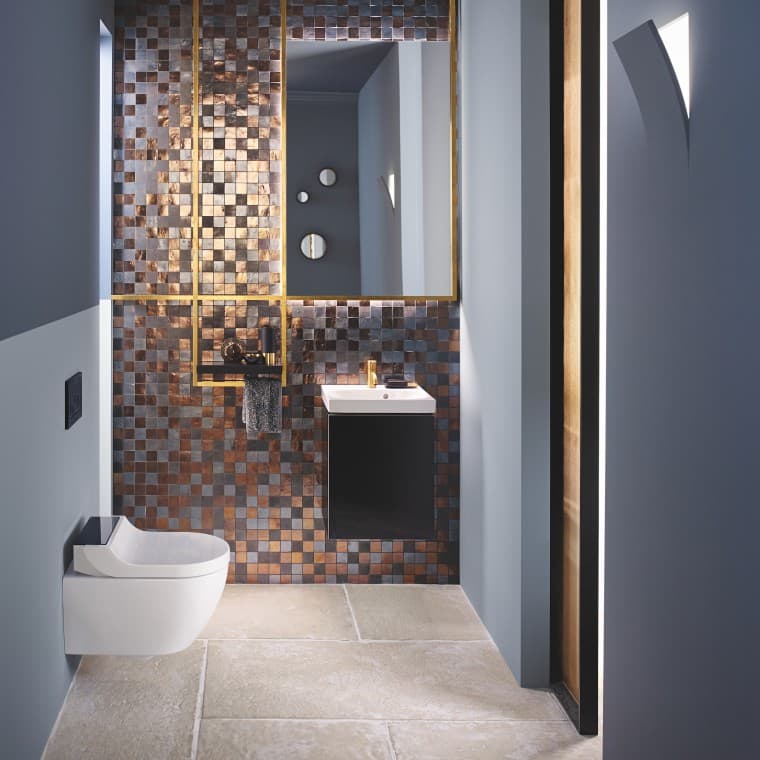 Dusch-WC Geberit AquaClean Tuma Comfort in Geberit Acanto Dusch-WC Geberit AquaClean Tuma Comfort in Geberit Acanto